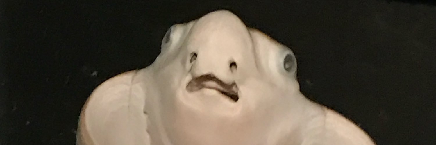 v_ral18's profile banner image