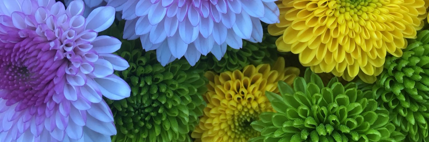 CharlotteAlice_'s profile banner image