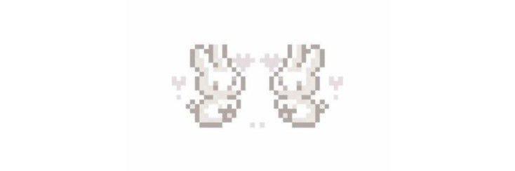 kishi 🐰 edtwt (0/12kg) banner