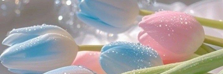 deda__4's profile banner image