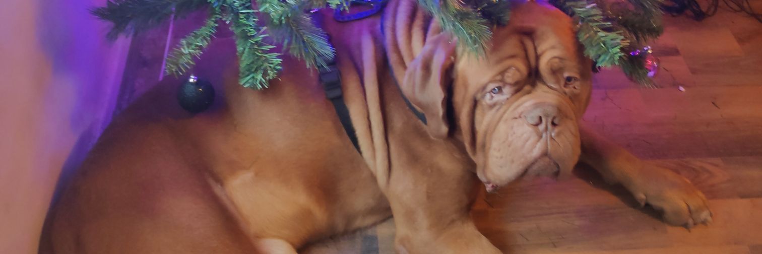 flipfinger's profile banner image