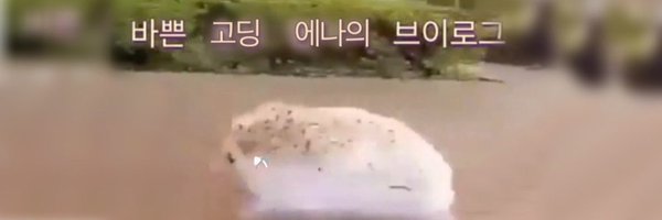 Kkilakkuma Profile Banner