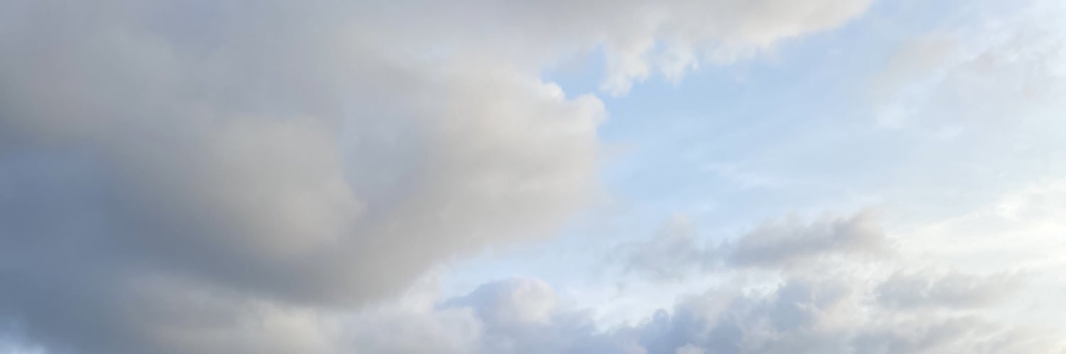 nuuthecuu's profile banner image