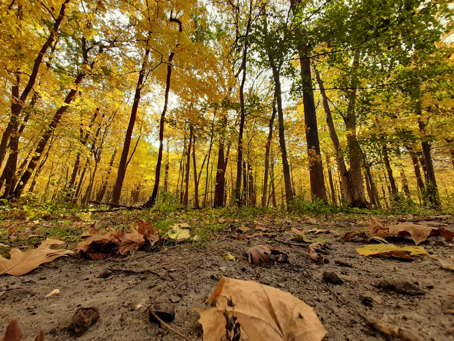 iowadnr's profile banner image