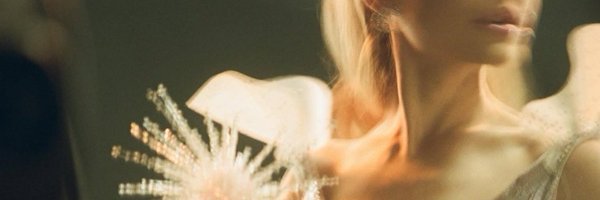 aLoudShowFawg Profile Banner