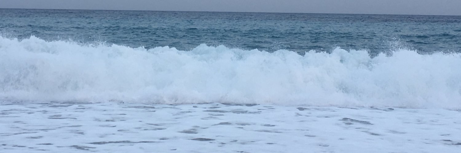 nevertomoon's profile banner image