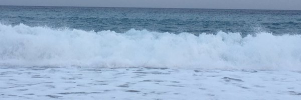 nevertomoon Profile Banner