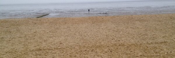 Raiser Profile Banner