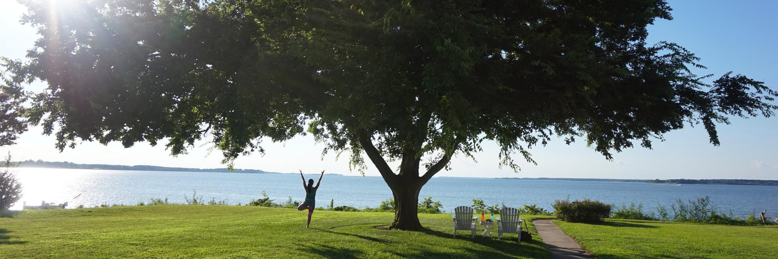 Dr. Jacqueline Mac banner