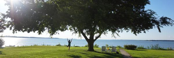 drjackimac Profile Banner