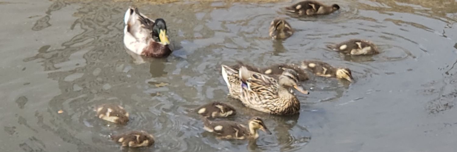 djmattep's profile banner image