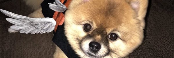 livinthefringe2 Profile Banner