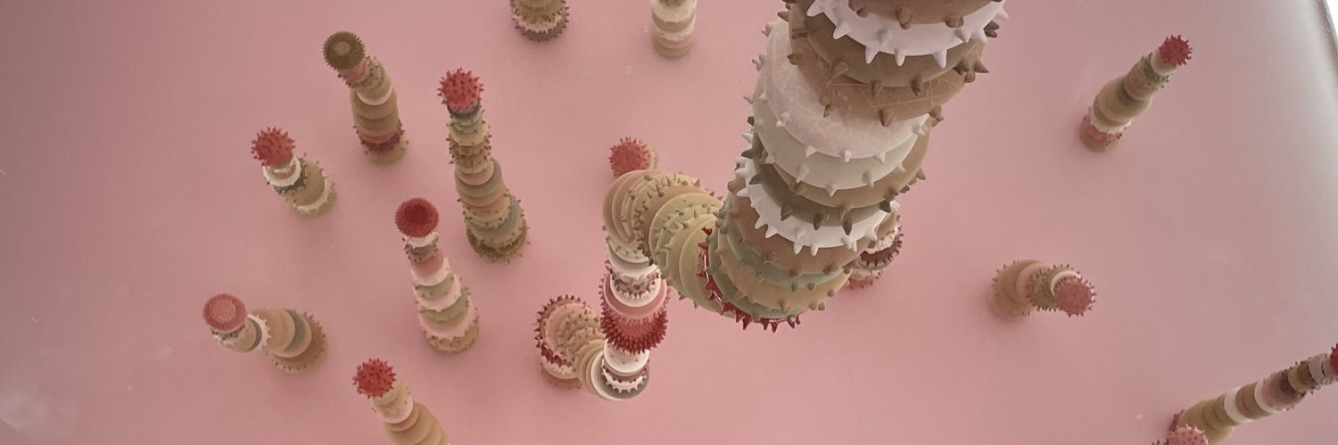 Rach 레이첼 | studytwt banner