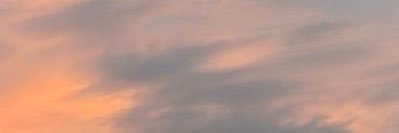 Xirissummerr's profile banner image