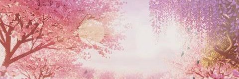 SoftGlich's profile banner image