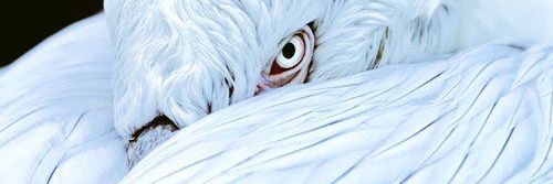 mfksssss's profile banner image