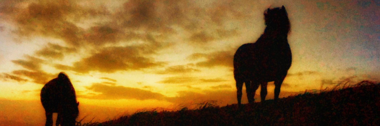 DiannaBonner's profile banner image