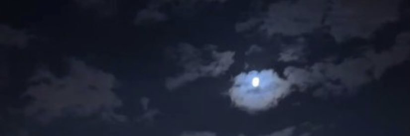 محمد الهاشمي🇸🇦 banner