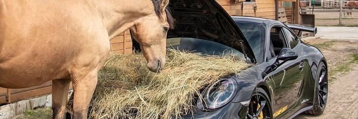 Gökhan Efe OĞUZ banner