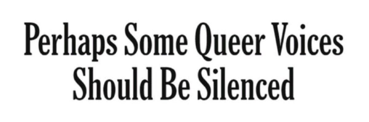 seki ⋆ﾟ⊹ shedtwt banner