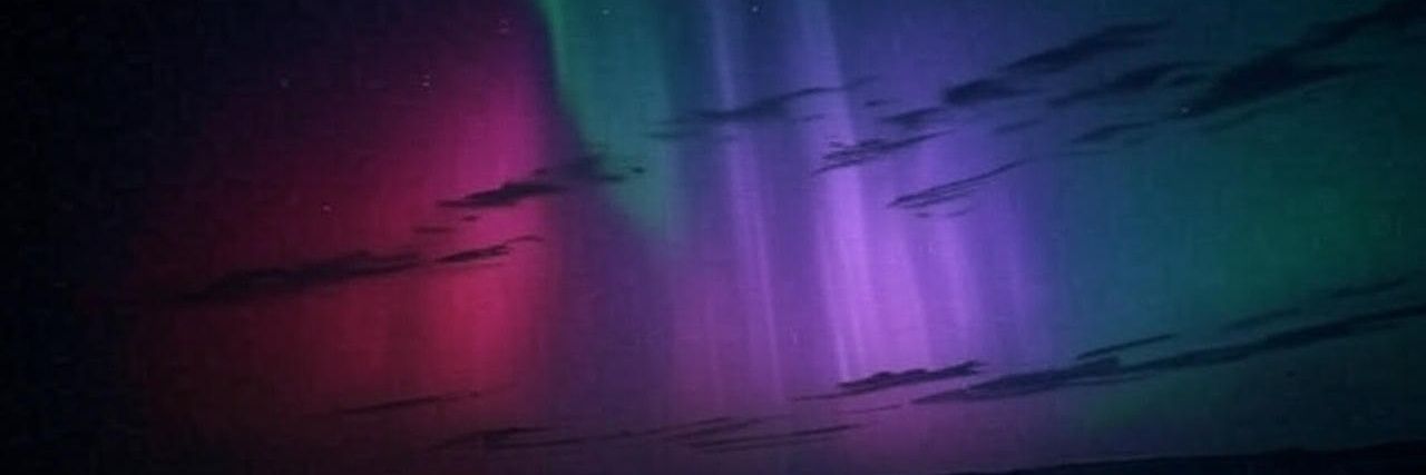 Ulises banner