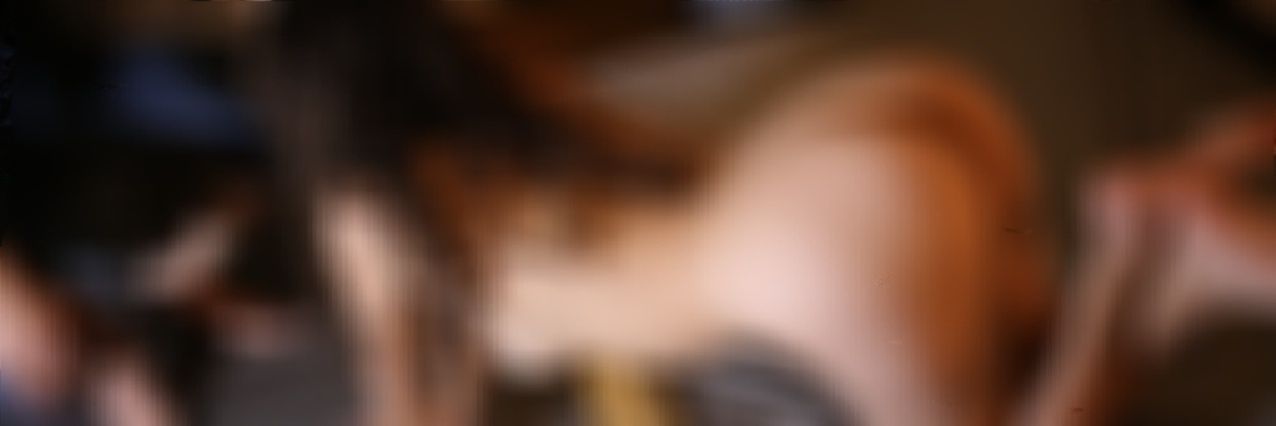 MP_Sw🍍🔥 banner