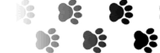 ⁑┆𝕂𝕦𝕟𝕚𝕜𝕚𝕕𝕒 𝕠𝕗 𝕤𝕙𝕖𝕕𝕥𝕨𝕥 ᐖ banner