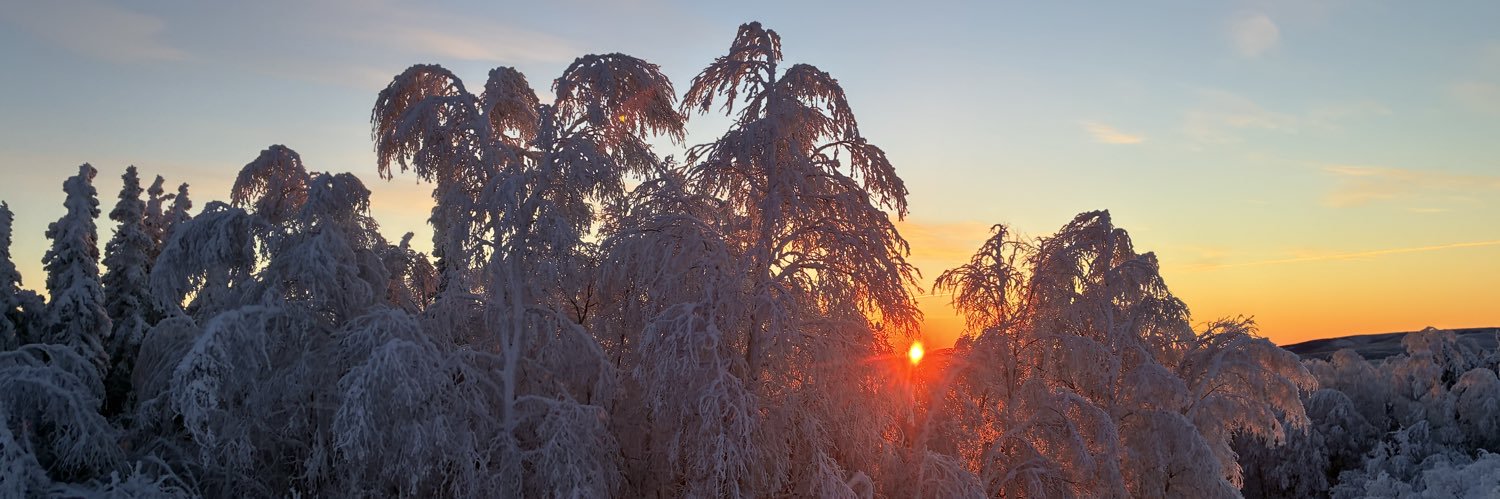 Artificial Computing banner