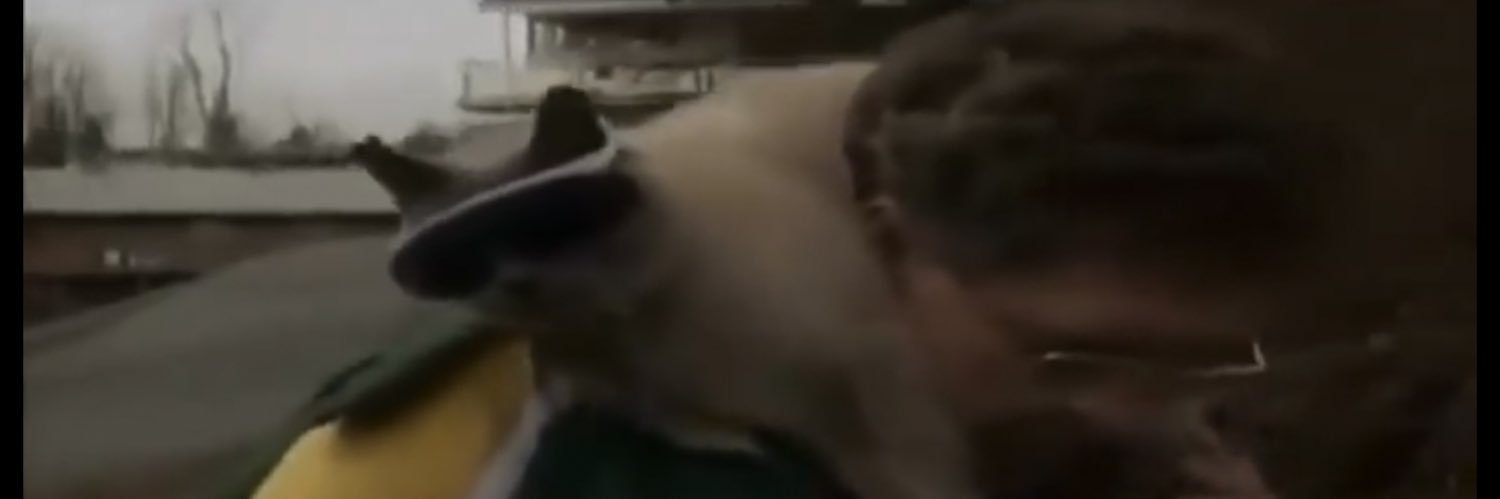 TagrieTheCat banner