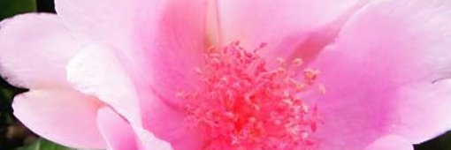 blankitahiguey's profile banner image