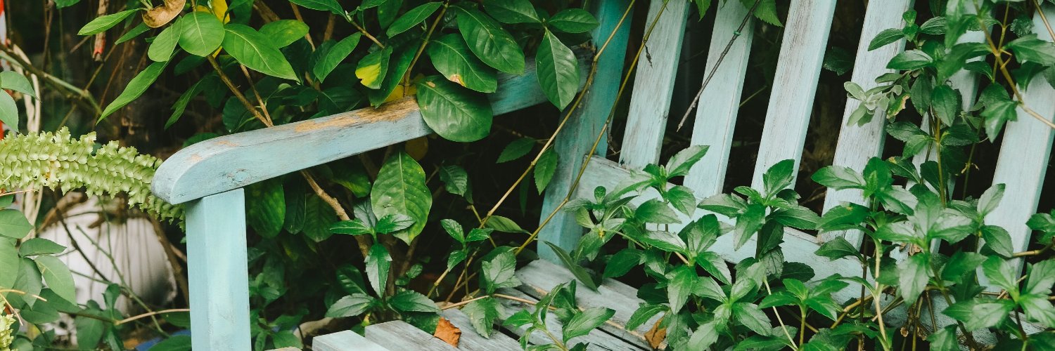 배수애 오너 ㅅㅌ banner