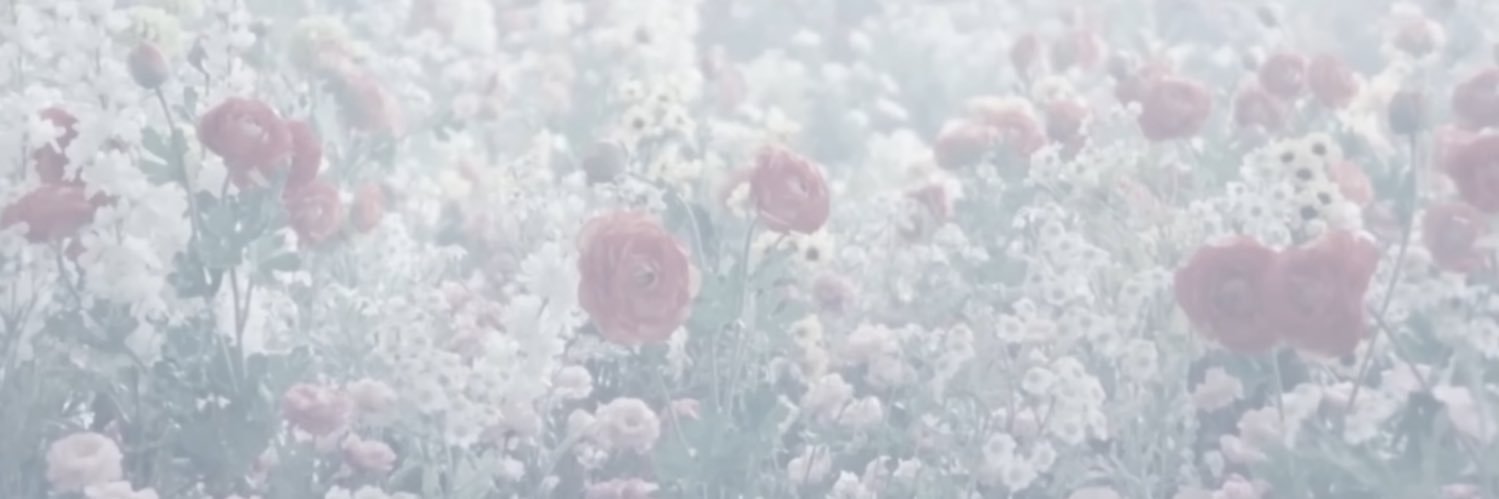 おと banner
