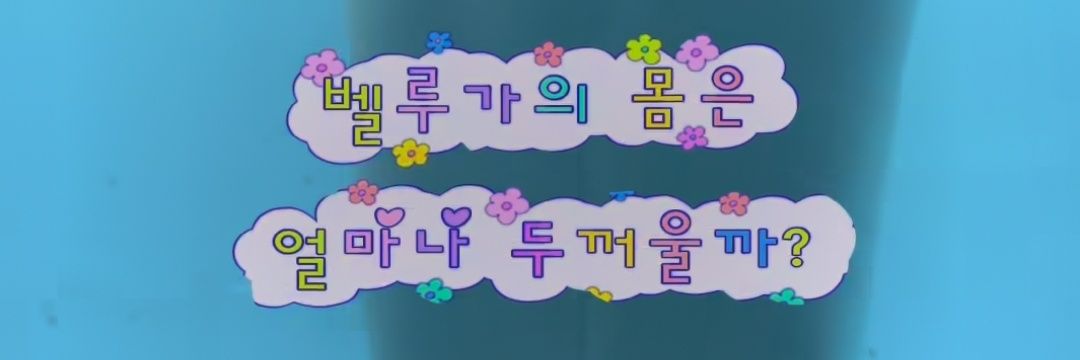 두지 banner