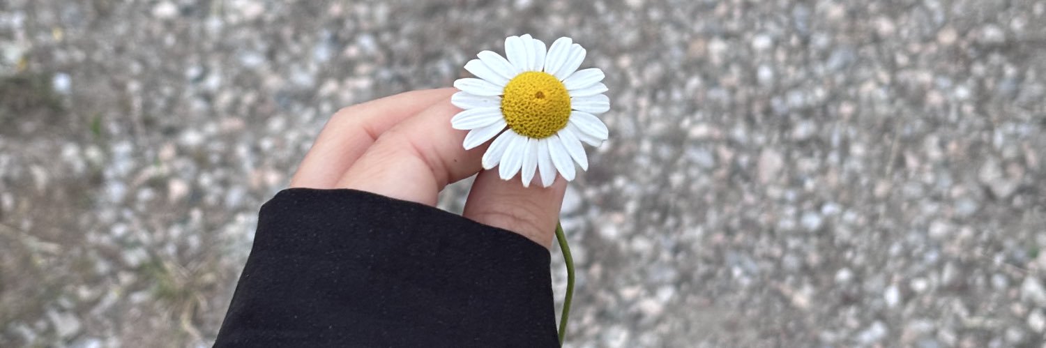 Litleprinnceess's profile banner image