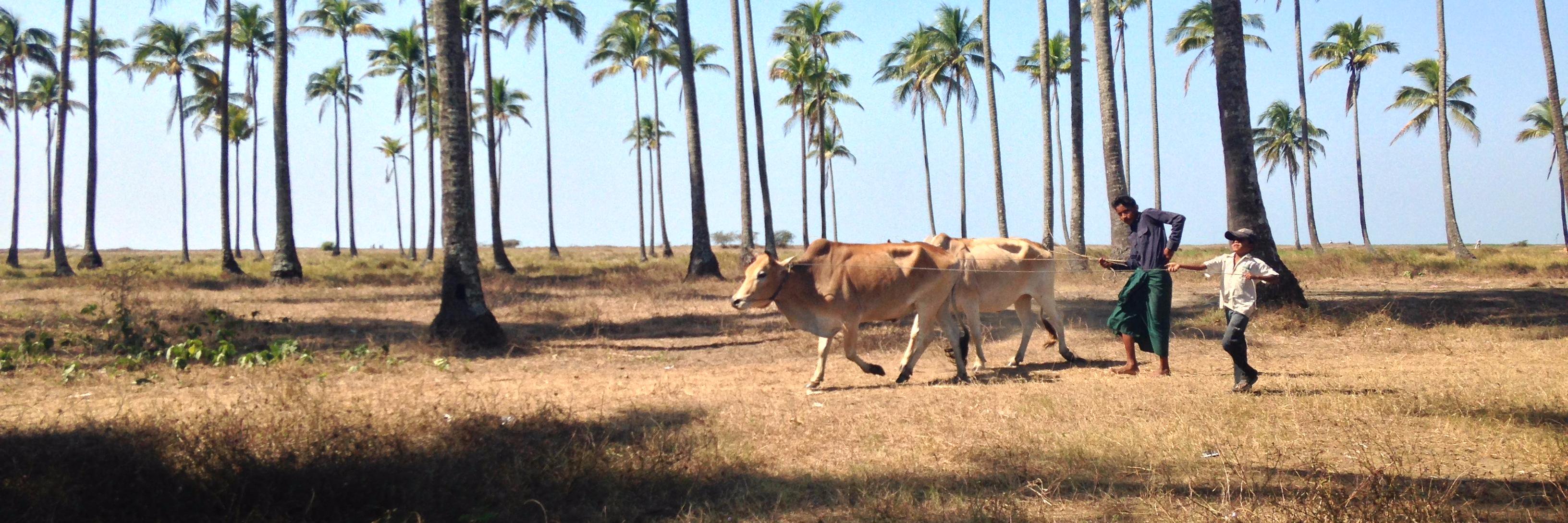 Richard Potter banner
