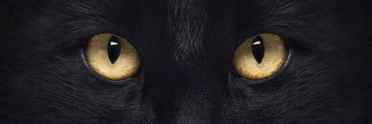 ekarzdk's profile banner image