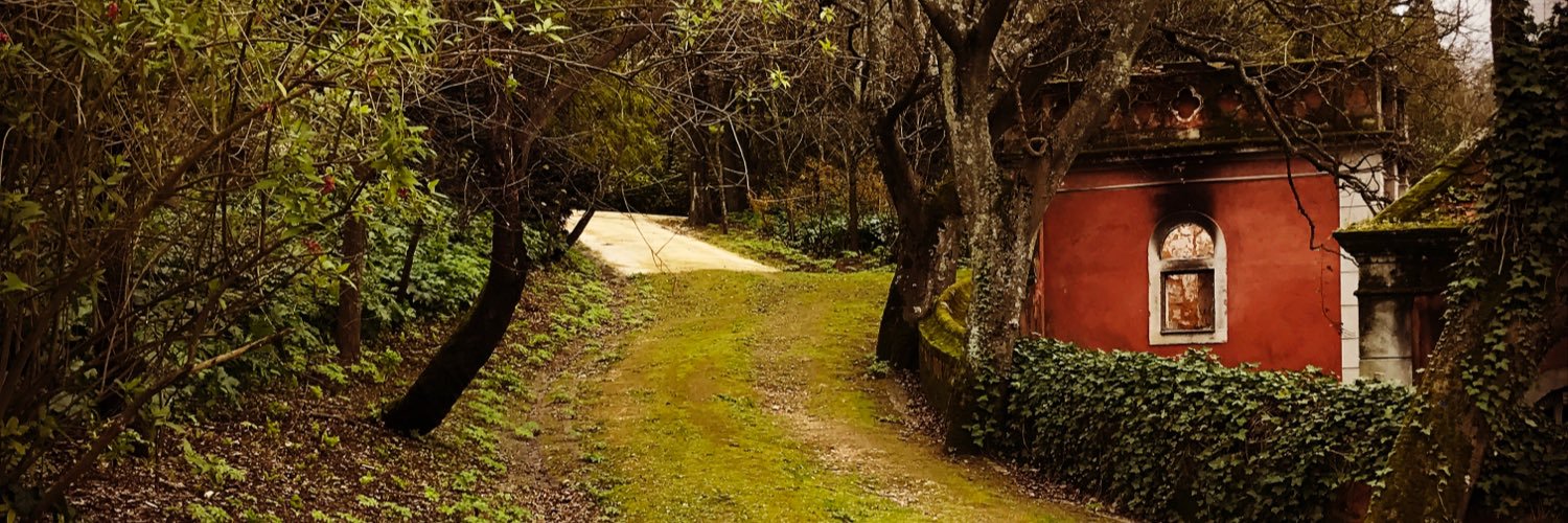 gsaudade's profile banner image