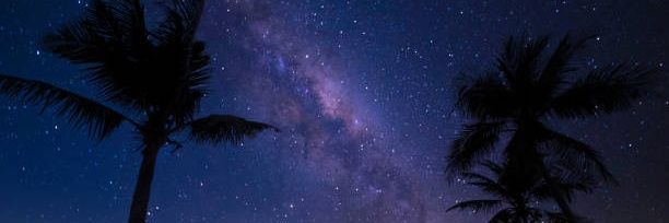 Not Avoiding Santa banner