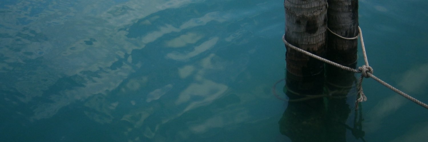 ryn banner