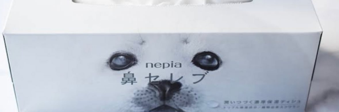 アザラシのわぎ🦭🧻🍬☀️🍊 banner