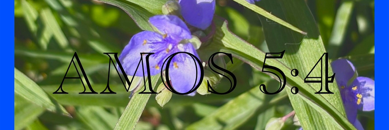 allergic2anythingtoxic81 banner