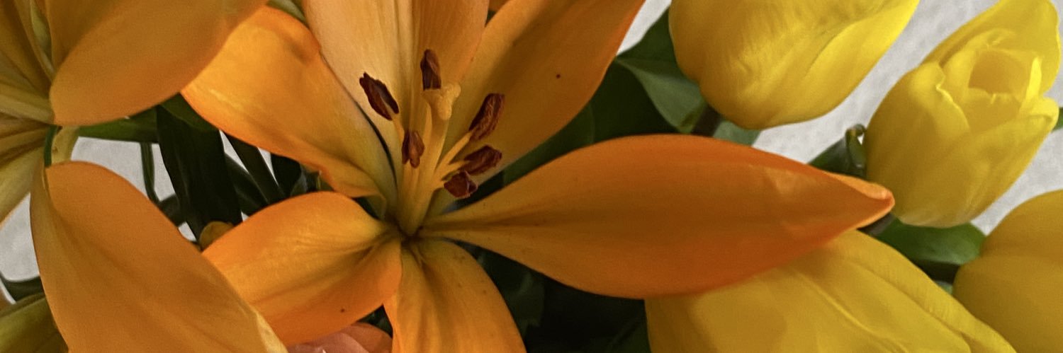 realist bi hayalperest banner