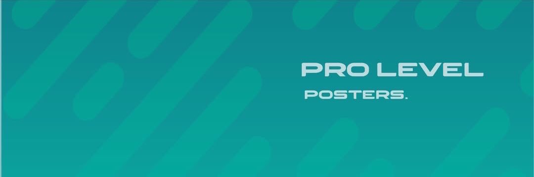 Pro Level Posters banner