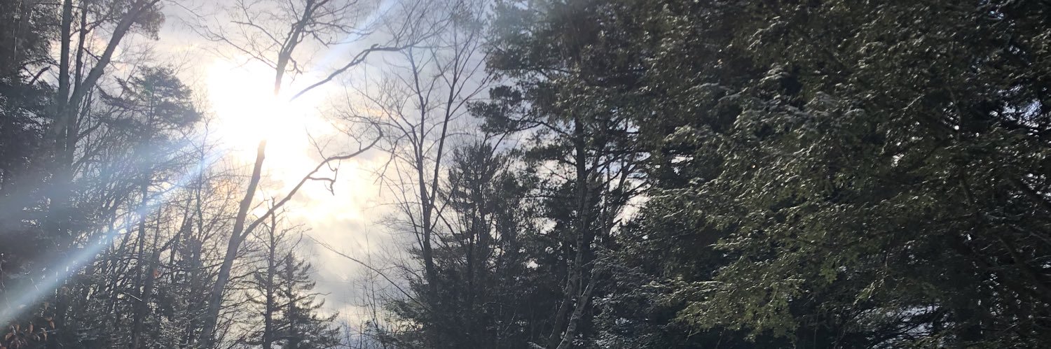 lizmwester's profile banner image