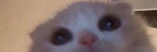 SigmaBalePicks banner