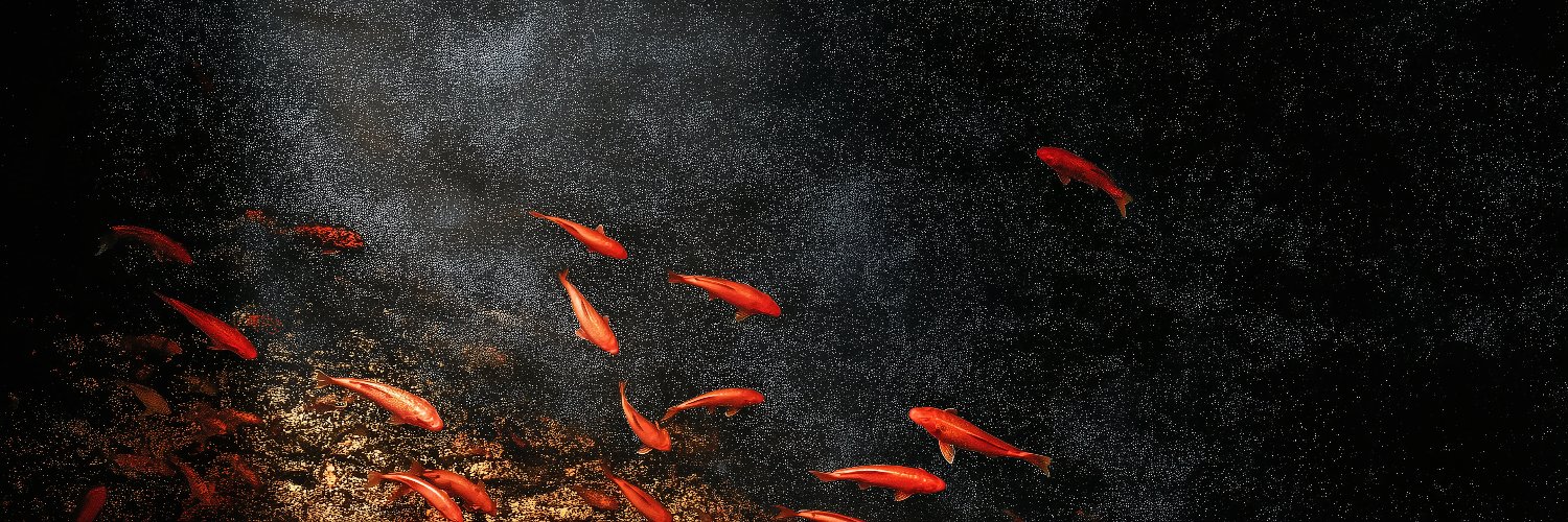 CKAUII VISION banner