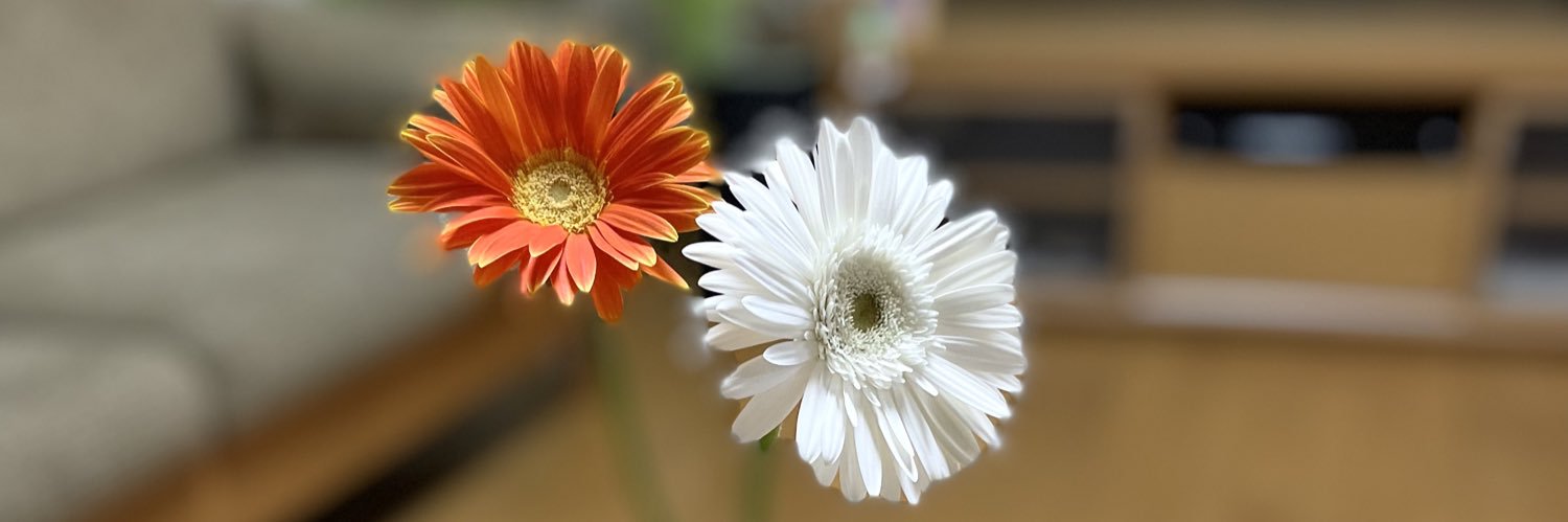 t0656769's profile banner image