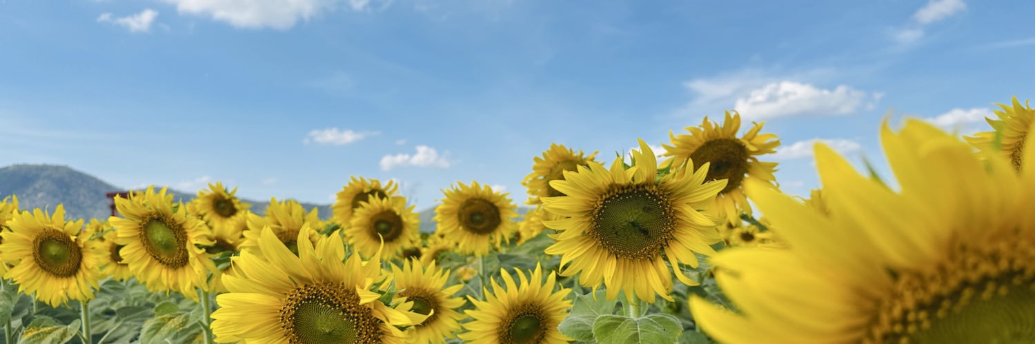 Palalet_'s profile banner image