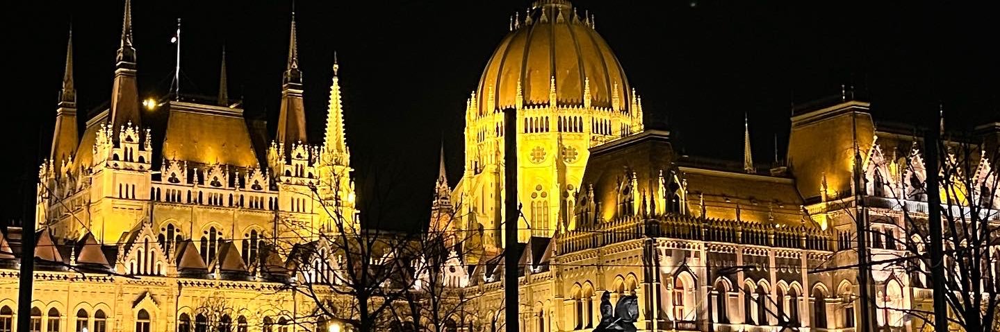 danny_mocuta's profile banner image