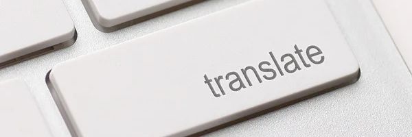 Basil ✏️🖥️ banner